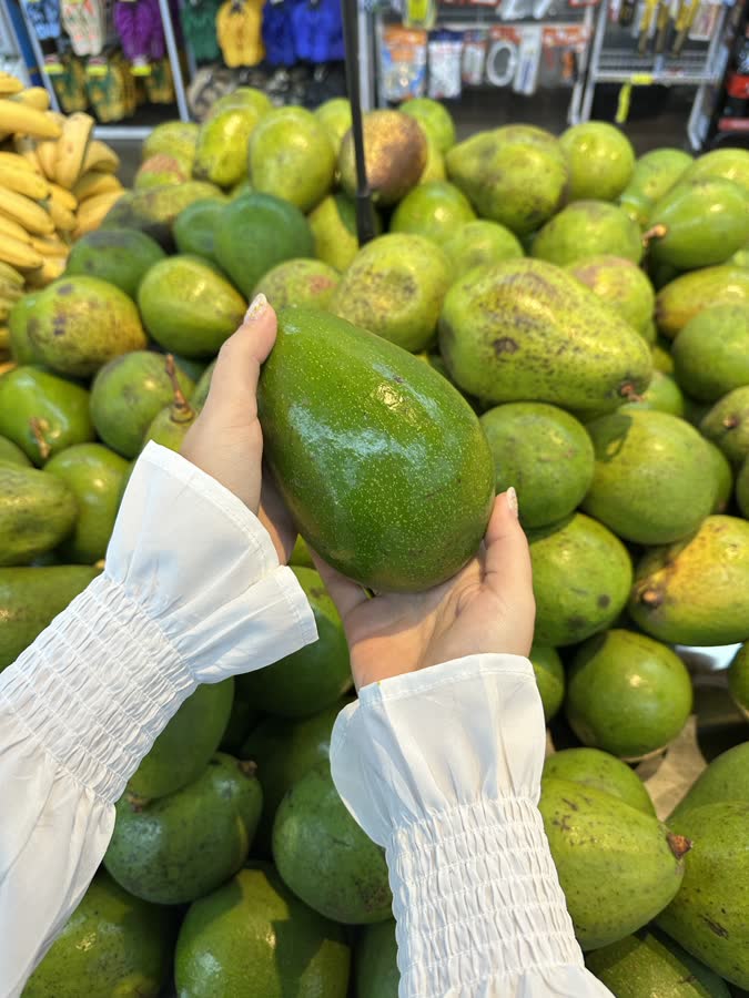 Abacates no hortifrúti, com um sendo escolhido