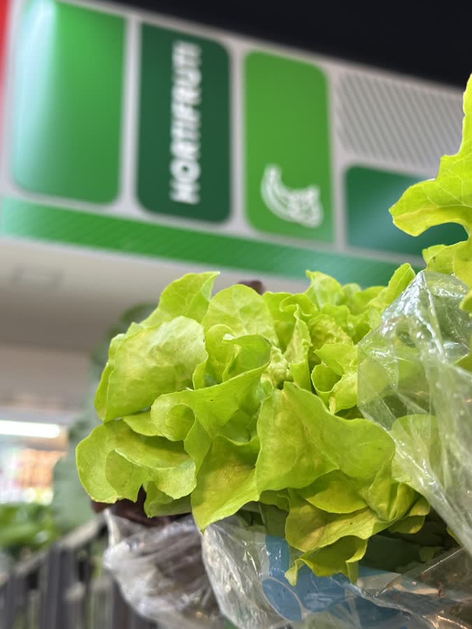 Alface no setor de hortifrúti do Supermercado Madi